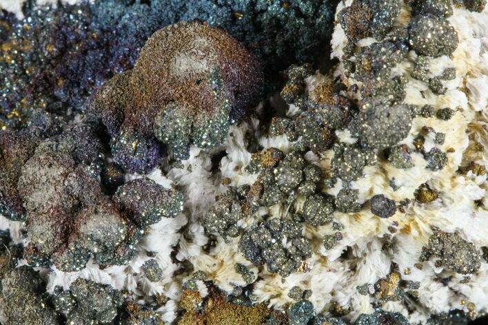 Barite, Chalcopyrite and Marcasite Association - Poland #61775